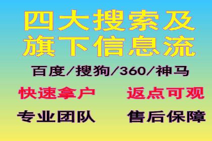 SEM推广实战：成功案例解读与策略调整